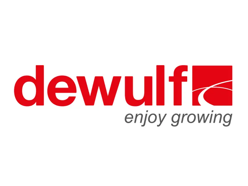 DeWulf